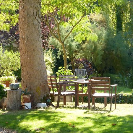 Domaine De Joreau Gennes-Val-de-Loire Eksteriør bilde