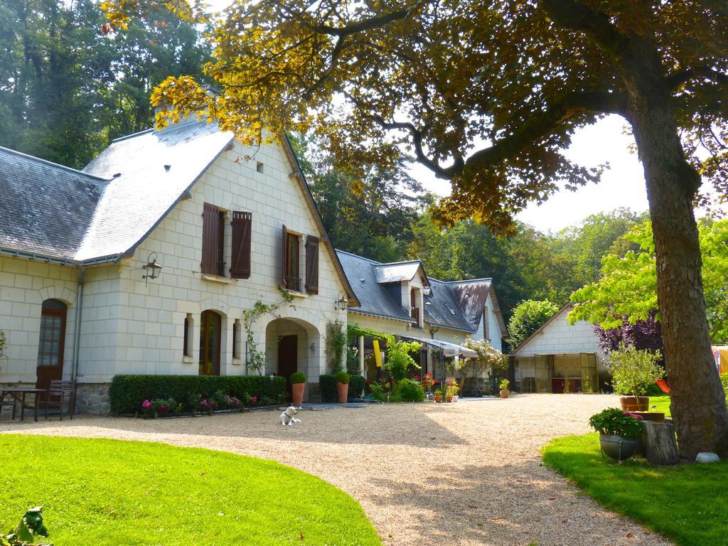 Domaine De Joreau Gennes-Val-de-Loire Eksteriør bilde